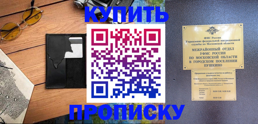 временная регистрация для всех в Заринске